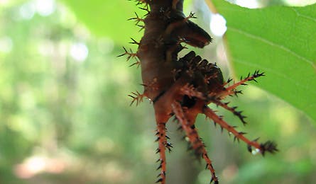 At Nature 11 11864 at nature 11