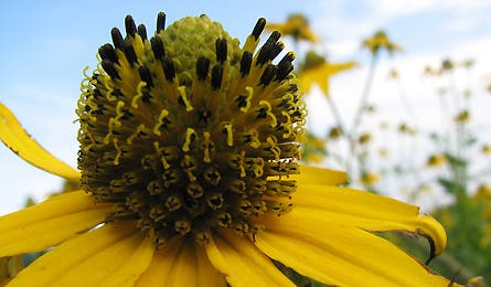 At Nature 19 11871 at nature 19