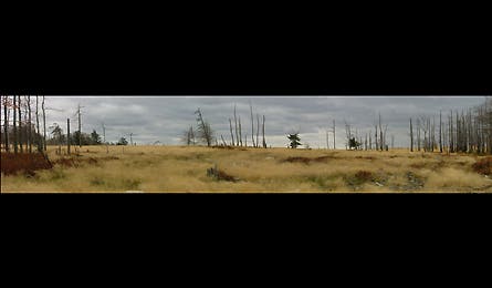 At Pana 4 11830 At Pana 4