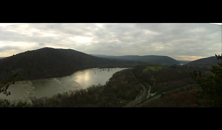 At Pana 7 11833 At Pana 7