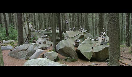 At Pana9 11835 At Pana9