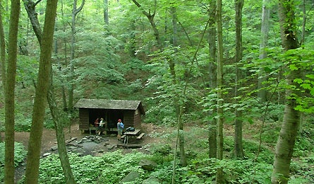 At Shelter4 11843 At shelter4