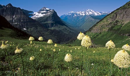 Glacier 445x260 11696 glacier_445x260