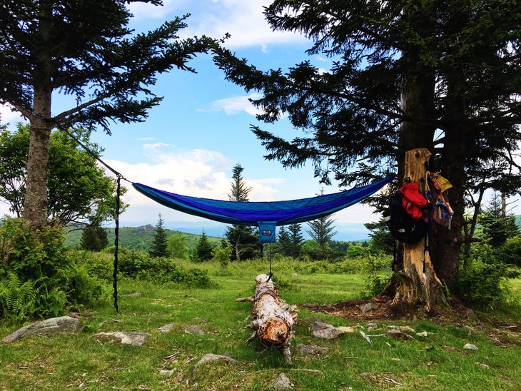 Thru-Hiking the Long Trail, According to Three Kids - Green