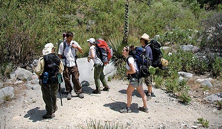 Bus 4 11983 yucca