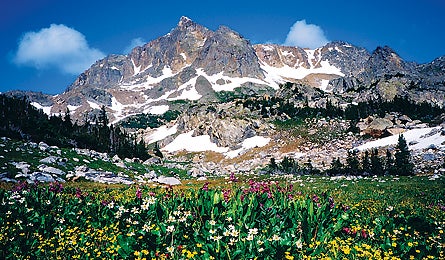 Bus 5 11984 indian_peaks
