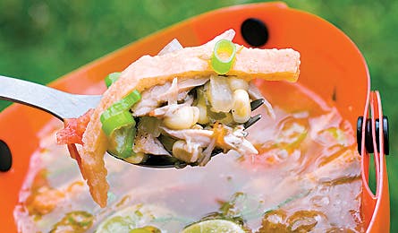 Chicken Tortilla Soup
