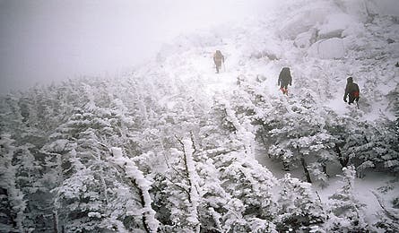 Colddanger 12141 colddanger