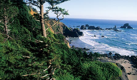 Ecola State Park 11910 ecola