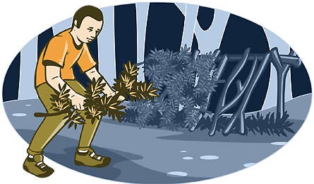 Life Or Death Leanto 12186 life or death leanto