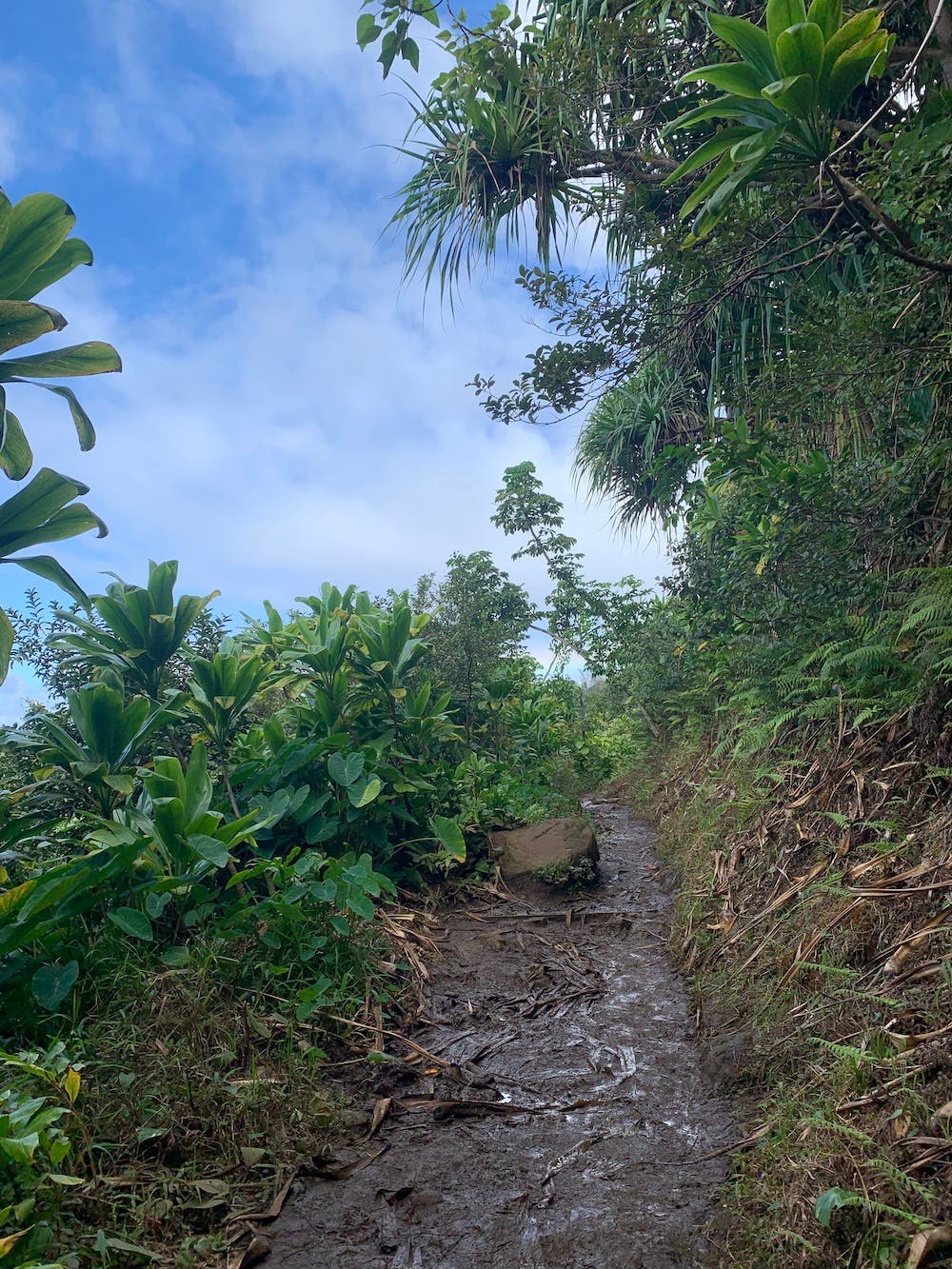 muddy trail on the kalalau trail