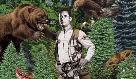 Survive 1 12216 survive