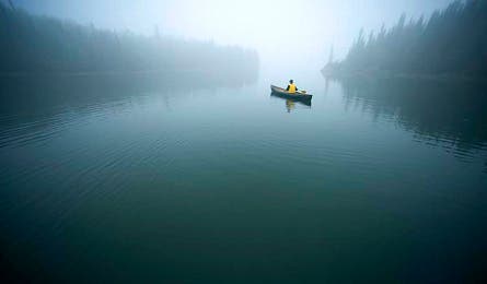 Caribou2 445x260 12393 caribou2_445x260