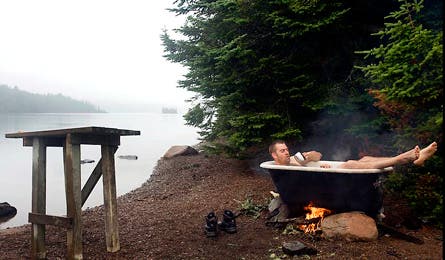 Caribou8 445x260 12399 caribou8_445x260