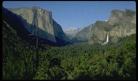 Yosemite National Park