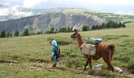 November 8 12270 November 8