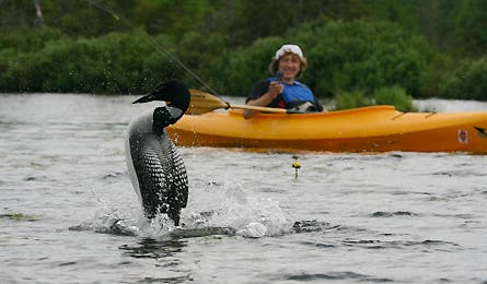 November 9 12266 November 9