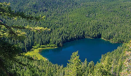 Rogue-Umpqua Divide Wilderness, OR 12309 Rogue-Umpqua Divide Wilderness, OR