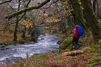 Wales11 12475 wales11