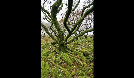 Wales9 12473 wales9