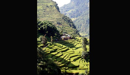 0109_annapurna1_445x260