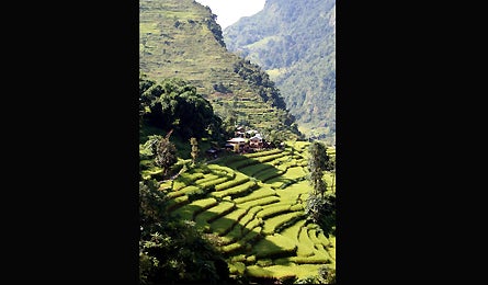 0109 Annapurna1 445x260 12768 0109_annapurna1_445x260