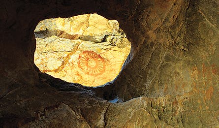 0109 Bestdamnsanrafaelchumas 445x260 12584 0109_bestdamnsanrafaelchumas_445x260