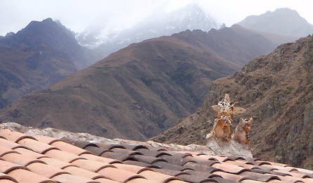 0109 Perugal6 445x260 12684 0109_perugal6_445x260