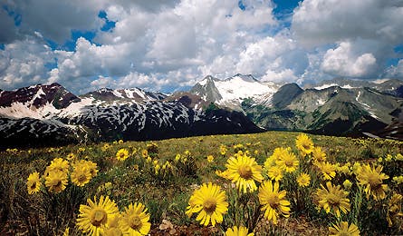 0109 Readchoice 445x260 12719 0109_readchoice_445x260