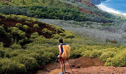 0109_readchoicehaw_445x260