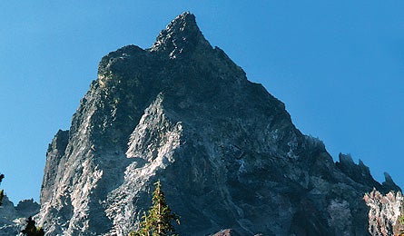 0109 Readchoiceor 445x260 12723 0109_readchoiceor_445x260