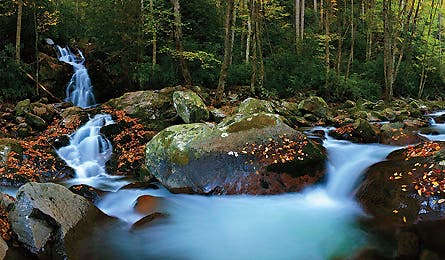 0109_readchoicetn_445x260