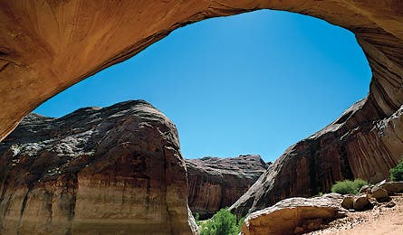 0109 Readchoiceut 445x260 12725 0109_readchoiceut_445x260