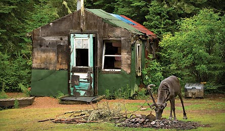 0109_reindeergames5_445x260