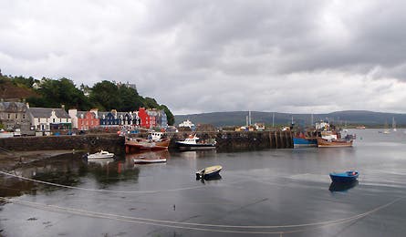 0109_scotgal11_445x260