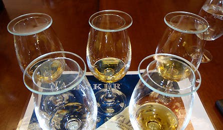 0109_scotgal2_445x260