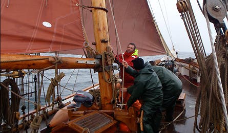 0109_scotgal3_445x260