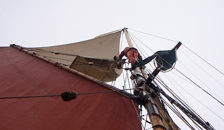 0109 Scotgal4 445x260 12694 0109_scotgal4_445x260