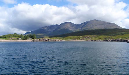 0109_scotgal5_445x260