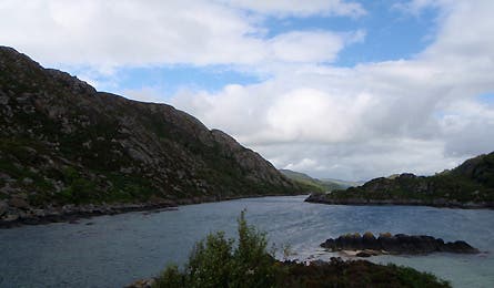 0109_scotgal8_445x260