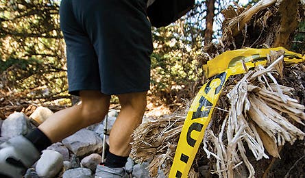 0109_thndrmtn2_445x260