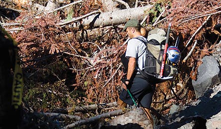 0109 Thndrmtn3 445x260 12713 0109_thndrmtn3_445x260