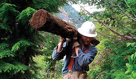 0109_thndrmtn4_445x260