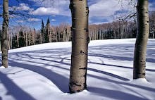 User-Contributed Media 12826 None