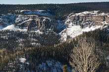 User-Contributed Media 12827 None