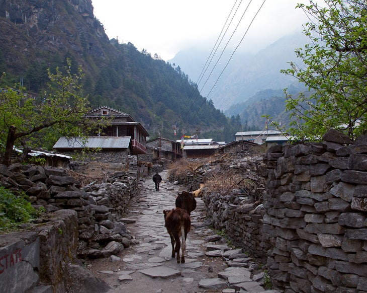 Annapurna Circuit Dharapani Village