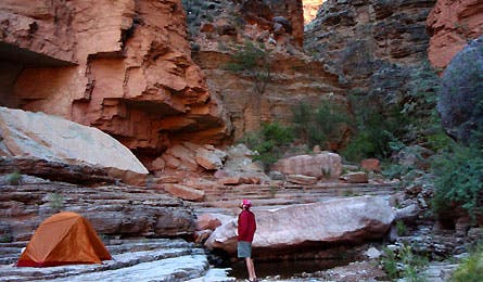 Gc Royal Arch Butler 445x260 16294 gc royal arch butler