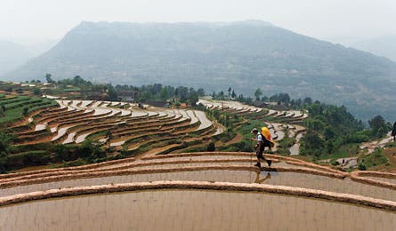 china nan ping village