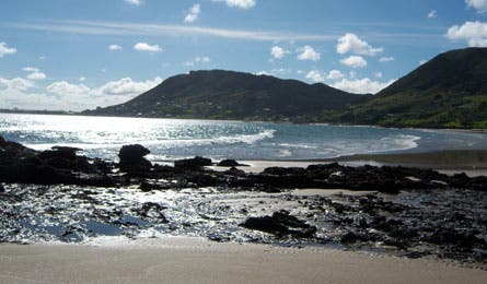 new zealand beach scene