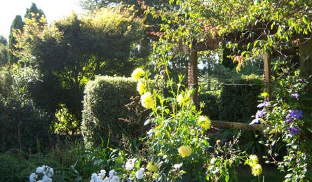 new zealand flower garden